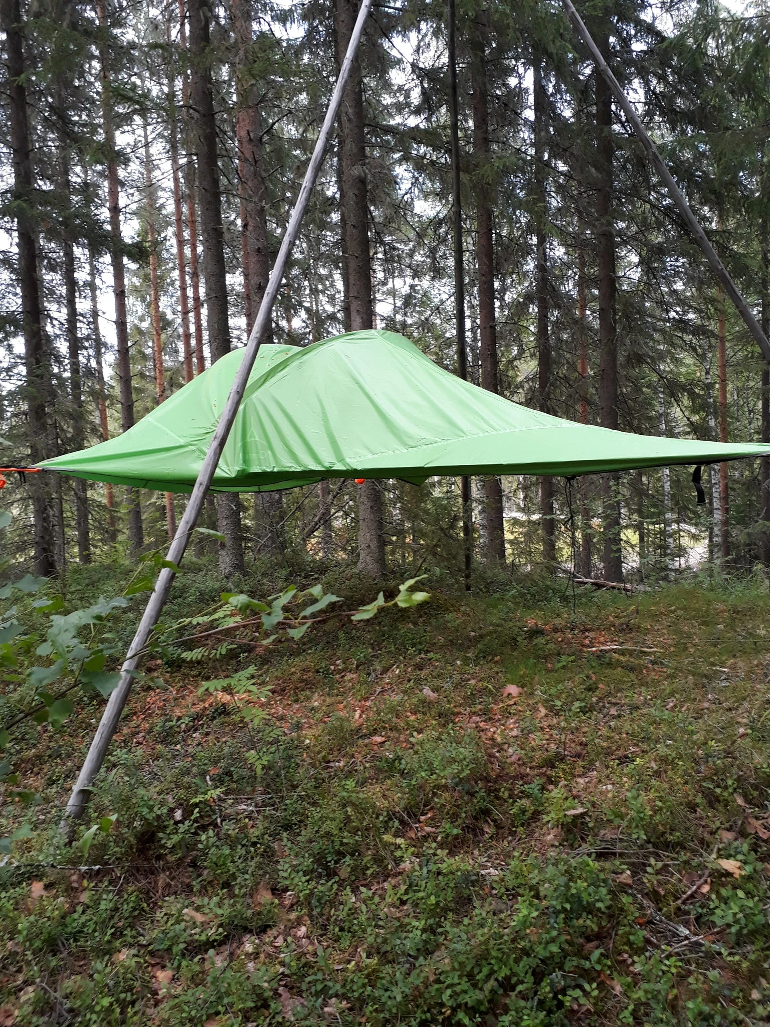 Tentsile Connect puumajoite 2 hengen teltta Kinkamon pirtti